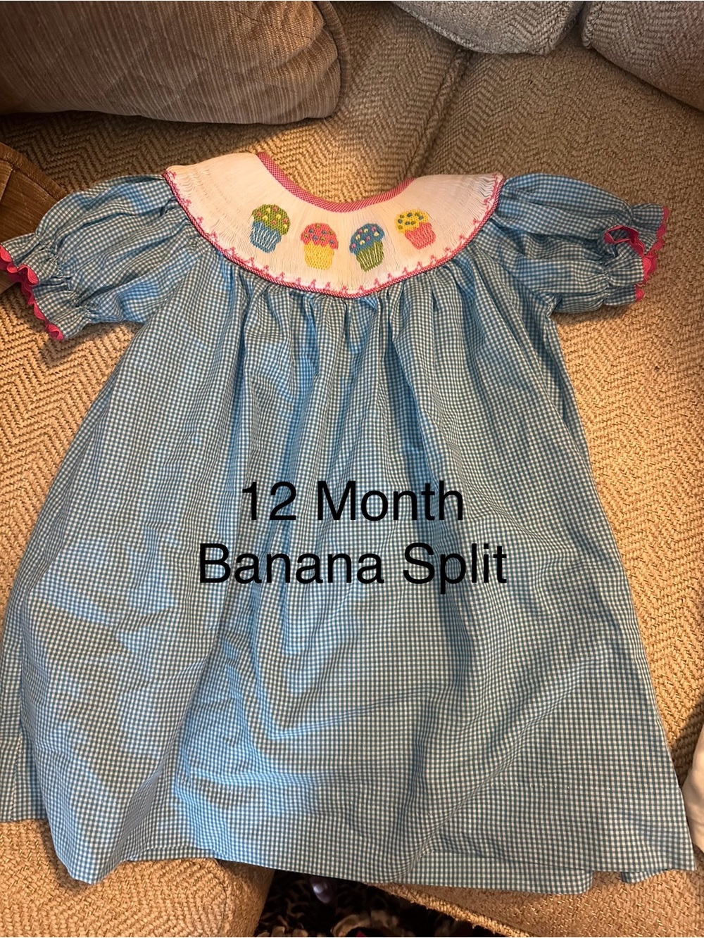 Blue Gingham with Smocked Cupcake Yoke - 12 Month